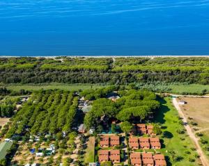 eine Luftansicht eines Hauses mit Bäumen und Wasser in der Unterkunft Gitavillage Club degli Amici in Pescia Romana