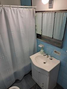 a bathroom with a sink and a shower curtain at Hostel Belgrano Home in Monte Grande