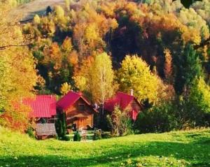 una casa en medio de un campo con árboles en Teremok Guest House, en Vyshka