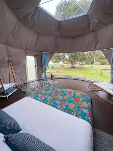 En eller flere senger på et rom på Boogaloo Camp