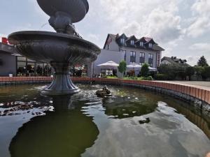 a fountain in the middle of a pond at U Bosmana in Brodnica
