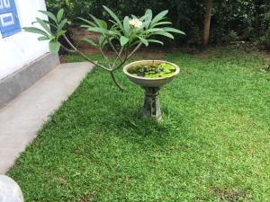 Un jardín fuera de Cinnamon Heaven