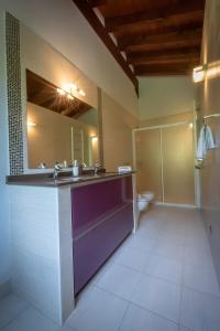 a bathroom with a sink and a mirror and a toilet at Oribarzar - Vivienda acogedora en plena naturaleza in Aia