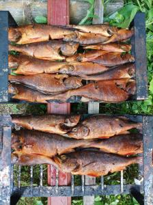 un montón de peces sentados en una parrilla en Pirts Jaunakmeni, en Priežmale