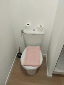 La salle de bains est pourvue de toilettes et d'une serviette rose. dans l'établissement ALBICASA appart hotel, à Albi