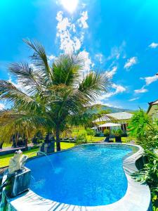 a swimming pool with a palm tree in front of a house at Batur Volcano Guesthouse in Kintamani
