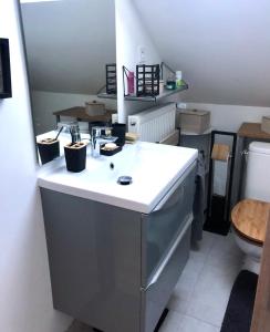 eine Küche mit einem Waschbecken und einem WC in der Unterkunft Chambre double avec salle de bain privative in Auxerre