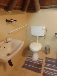 La salle de bains est pourvue de toilettes blanches et d'un lavabo. dans l'établissement Bushveld Bliss, à Marloth Park