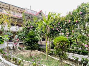 Hotel Tree Tops- A Serene Friendly Hotel in Sauraha外面的花园
