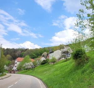 un camino sinuoso en un pueblo con casas y árboles en Cozy apartment en Eberbach