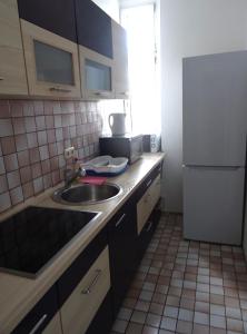 een kleine keuken met een wastafel en een koelkast bij Apartment Essen-City in Essen