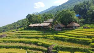 a field with houses on the side of a mountain at Pu Luong Ecocharm in Hương Bá Thước