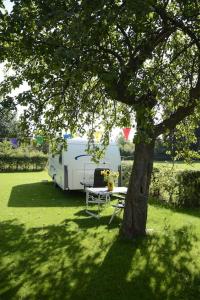 een picknicktafel en een witte trailer onder een boom bij insolite: la p'tite maison à roulettes in Jalhay