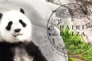 Gallery image of Duplex Coeur de Mons 64-2 in Mons