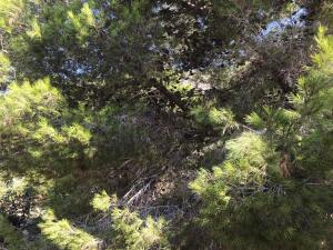 Φωτογραφία από το άλμπουμ του Como en Casa 2 PARKING σε Santa Pola