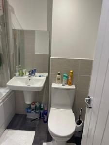 a bathroom with a toilet and a sink at Capewell Gibson House in Rotherham +6 photos