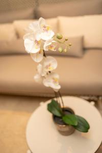 a vase with white flowers on a table at Corsendonk Hooge Heyde in Lichtaart