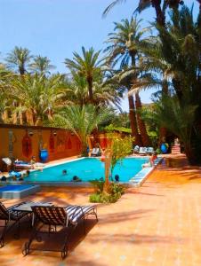 un complejo con una piscina con palmeras y sillas en Chez Ali, en Zagora