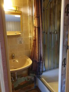 a bathroom with a sink and a shower at Apollo Pension und Saalvermietung 