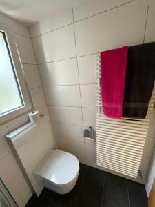 Koupelna v ubytování Chalet Kolibri