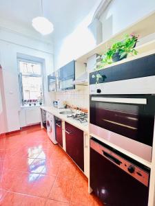a large kitchen with a stove and a sink at Apartment 3 in Kerepesi Street- City Center in Budapest