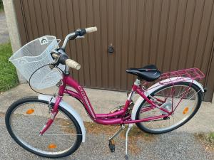 Una bicicleta rosa estacionada frente a una casa en Ferienwohnung Lotte am Tennisplatz, en Görlitz