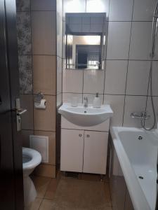 een badkamer met een wastafel, een toilet en een spiegel bij Apartament Claudia in Deva