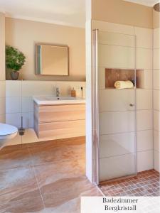 La salle de bains est pourvue d'une douche et d'un lavabo. dans l'établissement Landhaus Porschdorf, à Porschdorf