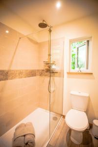 a bathroom with a shower and a toilet at HAYNE BARN ESTATE ECOLODGES in Hythe