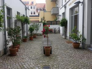 an alley with potted plants on the side of a building at Apartments Obergraben in Dresden
