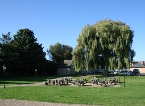 un grupo de mesas de picnic y un árbol en un parque en Queen's Head Inn en Nassington