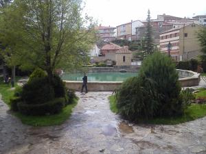 a man walking in a park with two trees at VISTAVEGA Cella in Cella