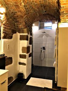 Historical Luxury Homes - Luxus Suite Colloseum في فريبورغ ام بريسغاو: حمام مع دش في جدار من الطوب
