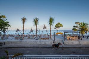 a horse standing on the beach next to the ocean at FRii Resort Gili Trawangan in Gili Trawangan