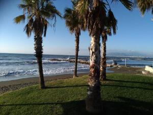 um grupo de palmeiras na praia em Andalusian house - Beach at 85 meters - Terrace em Málaga