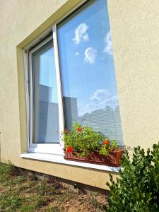 Fotografie z fotogalerie ubytování Apartmán H&H na Vysočině v destinaci Střítež