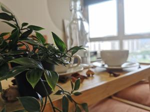 a plant sitting next to a wooden table with a coffeeucer at Una Serviced Apartment, Jalan Peel in Kuala Lumpur