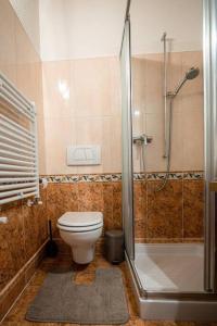 a bathroom with a toilet and a shower at Art Apartment Ticino in Vacallo