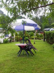 een picknicktafel met een paraplu op het gras bij Jharna Natural Homestay Mirik in Mirik