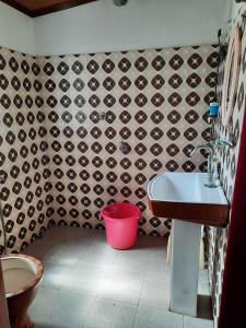 een badkamer met een wastafel en een rode emmer bij Jharna Natural Homestay Mirik in Mirik
