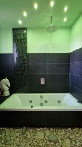 y baño con bañera, ducha y bañera. en Locanda La Cavallina, en Brisighella