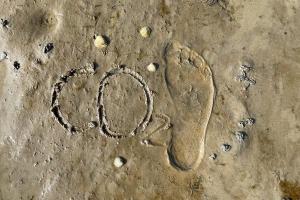 ダゲビュルにあるFerienhaus Herzmuschelの砂の足跡