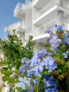 un arbusto de flores azules frente a un edificio en COLOR DREAM RESIDENCE Case Vacanza Monopoli, en Monopoli