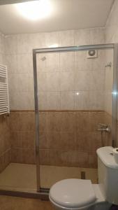 uma casa de banho com um chuveiro, um WC e um lavatório. em Apartman Edina em Ohrid