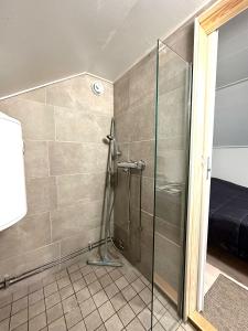 a shower with a glass door in a bathroom at Cosy berry loft in Rovaniemi