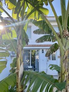 a white house with a banana tree in front of it at Loft with Garden 4 min to Beach in Kyrenia in Kyrenia