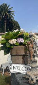 una maceta de flores en una pared con un cartel de bienvenida en Casas La Principal, en San Pedro