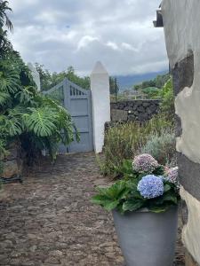 Zahrada ubytování Casas La Principal