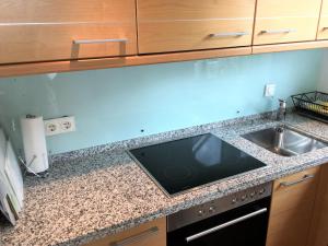 a kitchen with a sink and a counter top at Ferienwohnung Schleistrand in Kappeln +4 photos