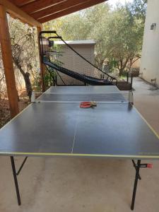 een tafeltennisracket bovenop een tennisbaan bij פנינה בראש פינה in Rosh Pinna